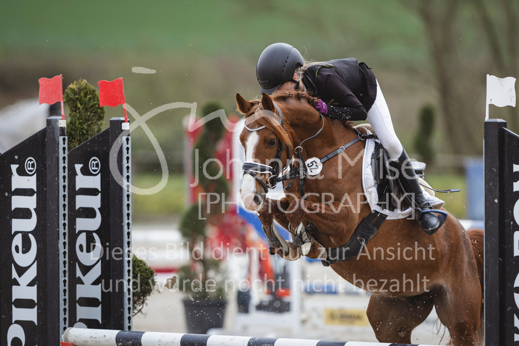 240330_Fruehlingsfest_Stilspring-WB-513 | Deine schönsten Turniermomente als professionelle Fotos! Entdecke hochwertige Pferdesport-Fotografie im Online-Shop. Jetzt Fotos finden & bestellen!