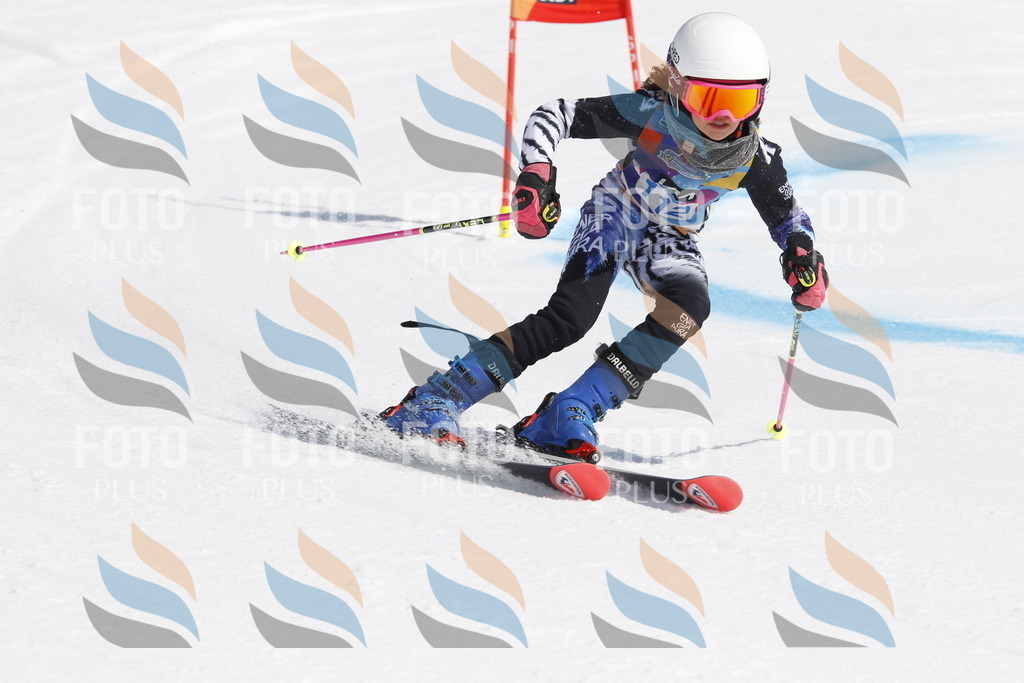 _U3G0545 | holidayphoto