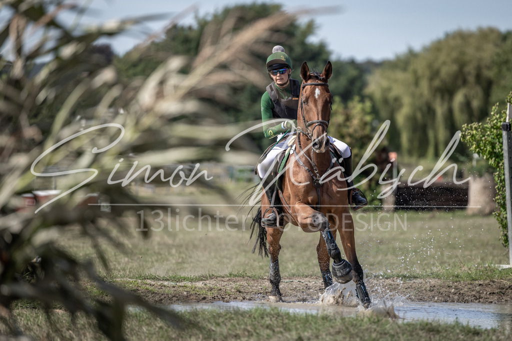 20250907-_3LI9886 | Tierfotografie Pferde, Hunde, Katzen, Haustiere.
Turnierfotografie Reitturniere, Reiten, Springreiten, Dressur in Hanau, dem Main-Kinzig-Kreis und dem Rhein-Main- Gebiet um Frankfurt