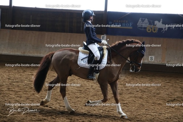 JugendTrophy0851 | Fotografie, Tiere, Hunde, Katzen, Pferde, Sportfotografie, Fotosession, Tierfotografie, Turnierfotografie, Fotografin, Fotograf - Realisiert mit Pictrs.com