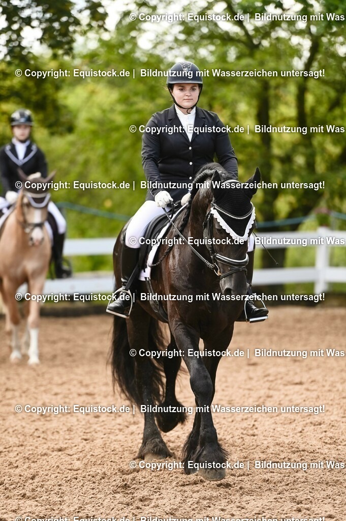 20230716_04_Dressurreiterprüfung Kl.A_0356 | equistock