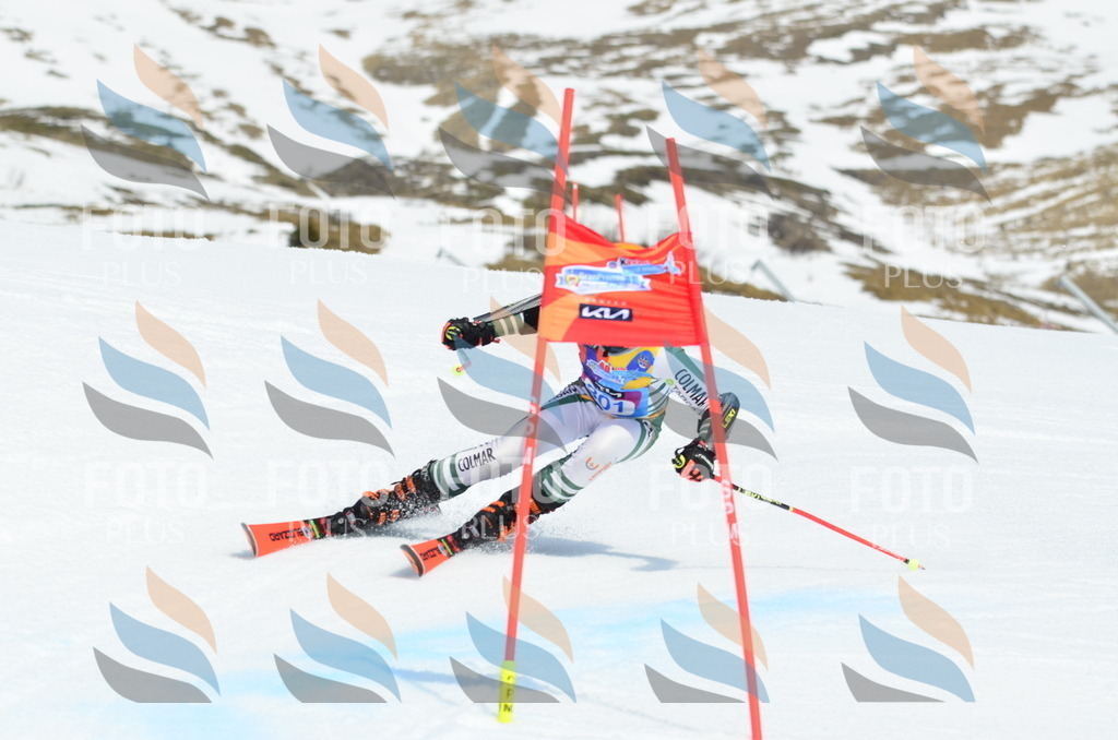 _ELE2200 | holidayphoto