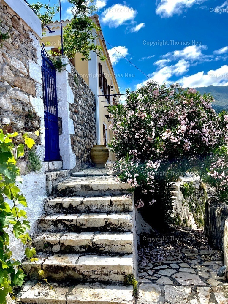 IMG_3828 | Hochwertige Fotografien aus Bensheim, der hessischen Bergstraße und dem Odenwald. Stadtansichten, Landschaften und historische Motive von Fotograf Thomas Neu- als Datei und Print erhältlich