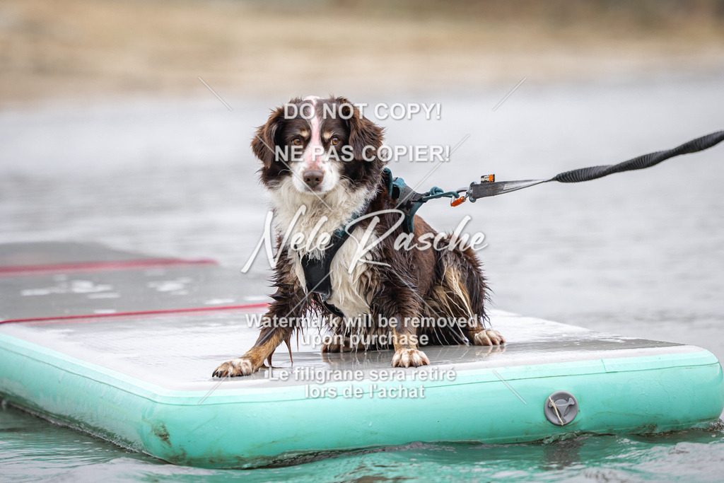 nelerasche_Hulsbeek_Sa1130-1230_164 | nelerasche