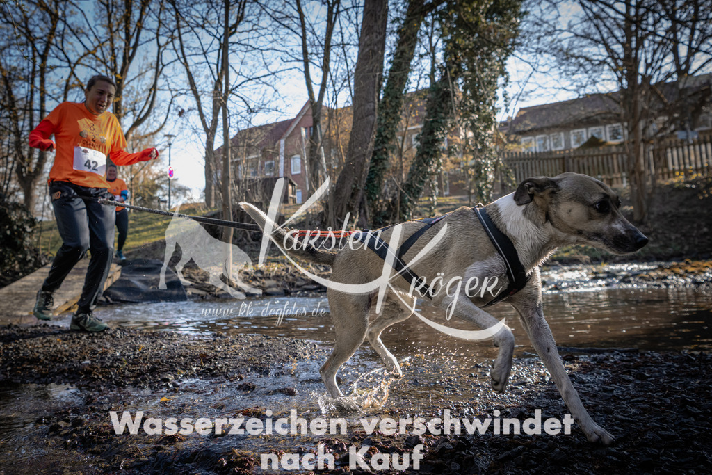 0834_ZZ92229 | kk-dogfotos
