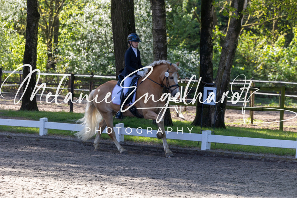 7I8A7755 | melanie-engelhardt-photography - Realisiert mit Pictrs.com