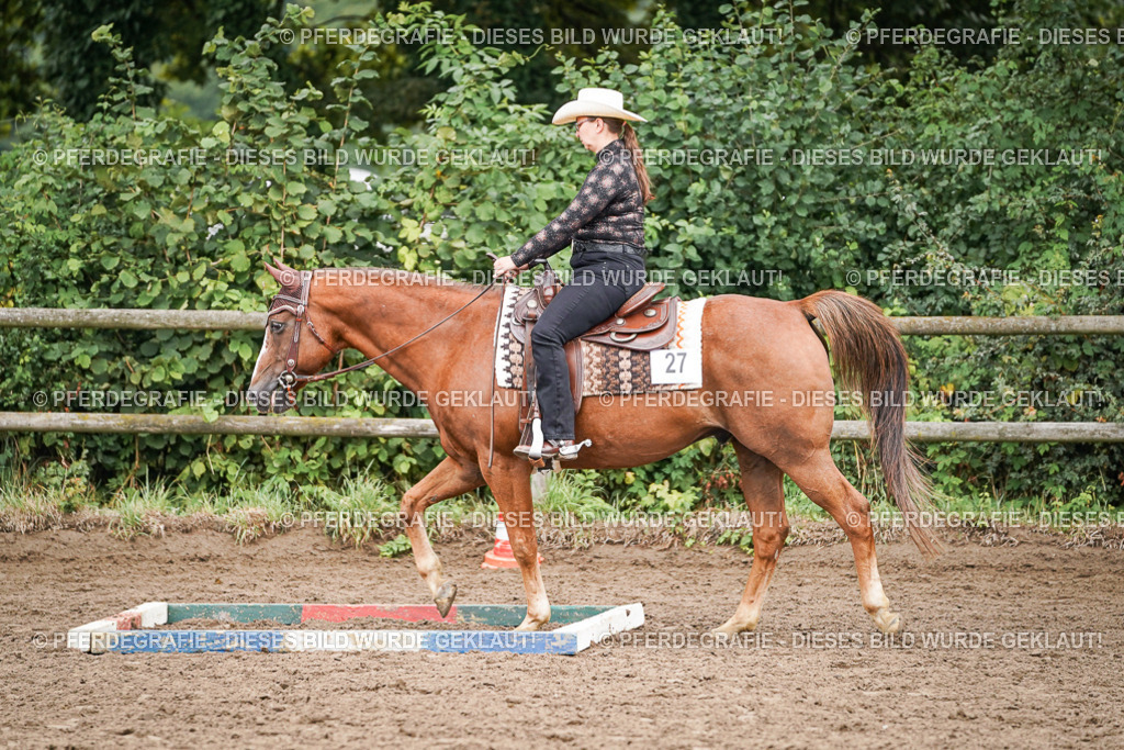 DSC03008 | Pferdegrafie