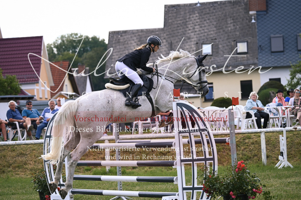 DSC_0988 | Pferde- und Turnierfotografie in Westsachsen. Pferdeportraits, Auftragszeichnungen und intuitive Kunst.