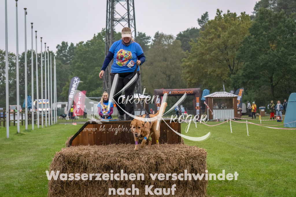 1230--3 | kk-dogfotos