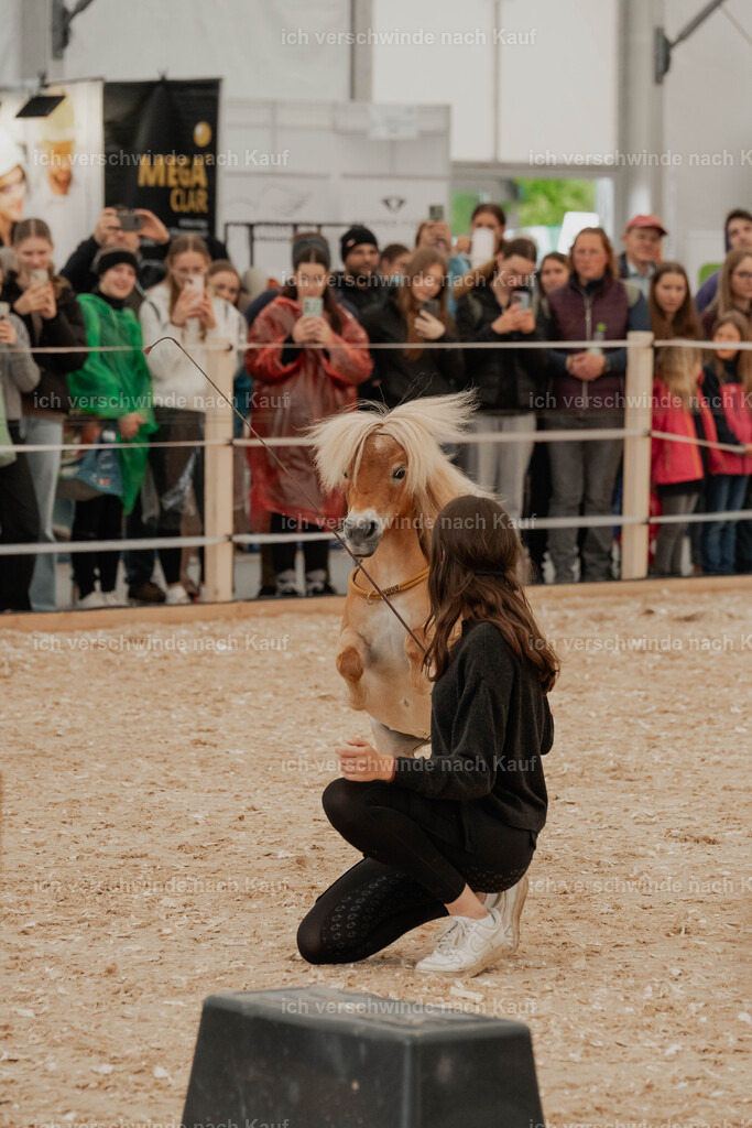 Showprogramm-64 | working equitationturnier fotograf videograf stoibphotography marixx film working equitation deutschland reitsport turnierfotografie eventfotografie equestrian events