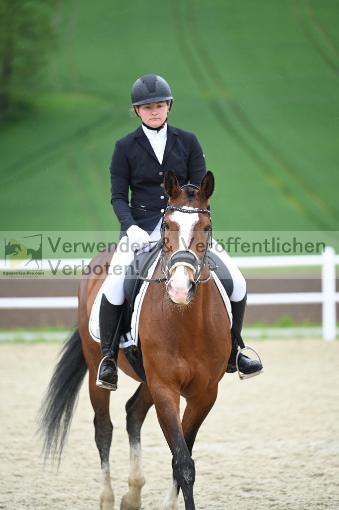 DSC_0254 | equestrian-live-com