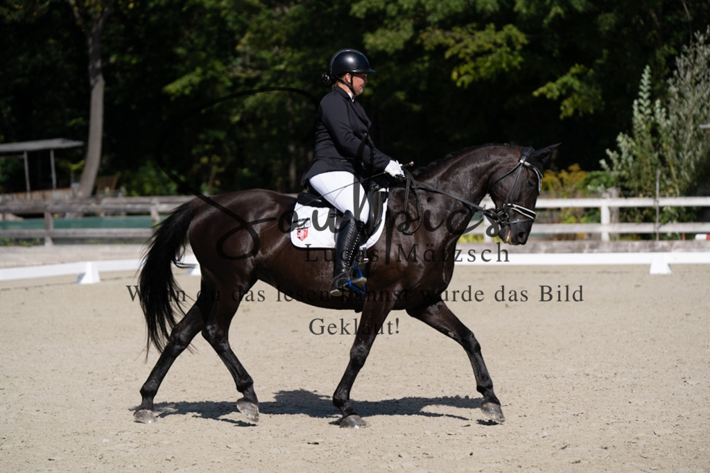 A7V07067 | Turnier/Reitfotograf