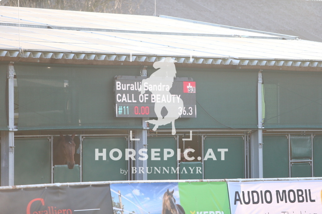 DL2Q7146 | Willkommen bei Brunnmayr - Design & Fotografie – Ihrem Spezialisten für Reitturniere und Pferdeveranstaltungen in Oberösterreich, Salzburg und Bayern! Seit über 17 Jahren sind wir leidenschaftlich dabei.