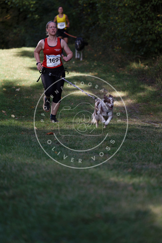 0L8A5292 | Hundefotografie, Tierfotograf, Pfotenfotografie, Fotoshooting Hund, Hunde Portrait, Hundesport, Hundeportraits, Heideshooting, Hunde, Sportfotograf, Hundefotograf, Turnierhundsport, THS,  - Realisiert mit Pictrs.com