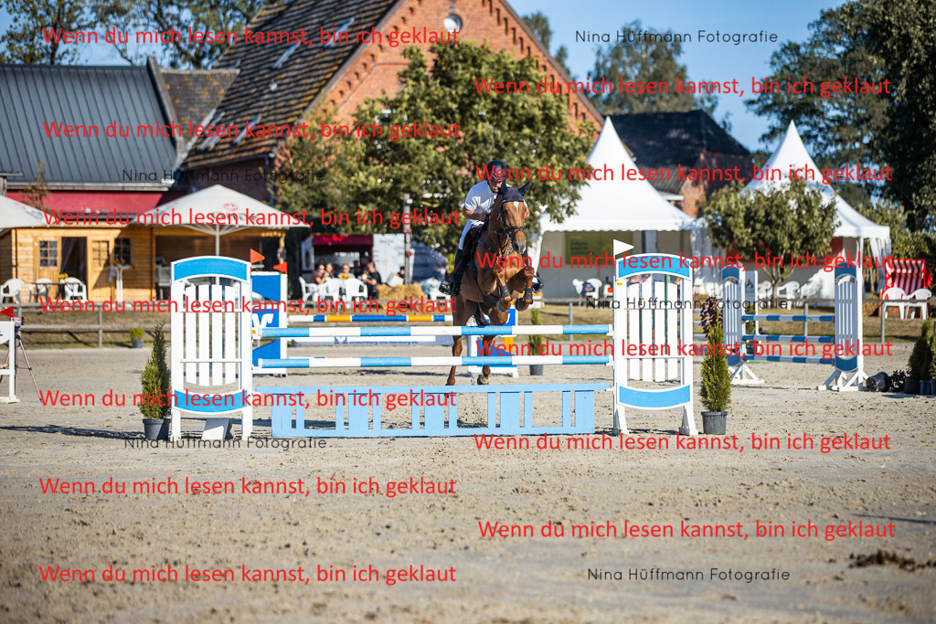 BK1A6138 | Turnierbilder Turnierfotos Nina Hüffmann Turnierfotografie Pferdefotografie Tierzeichnung Haustierzeichnung Pferdezeichnung Hundezeichnung Videograf  - Realisiert mit Pictrs.com