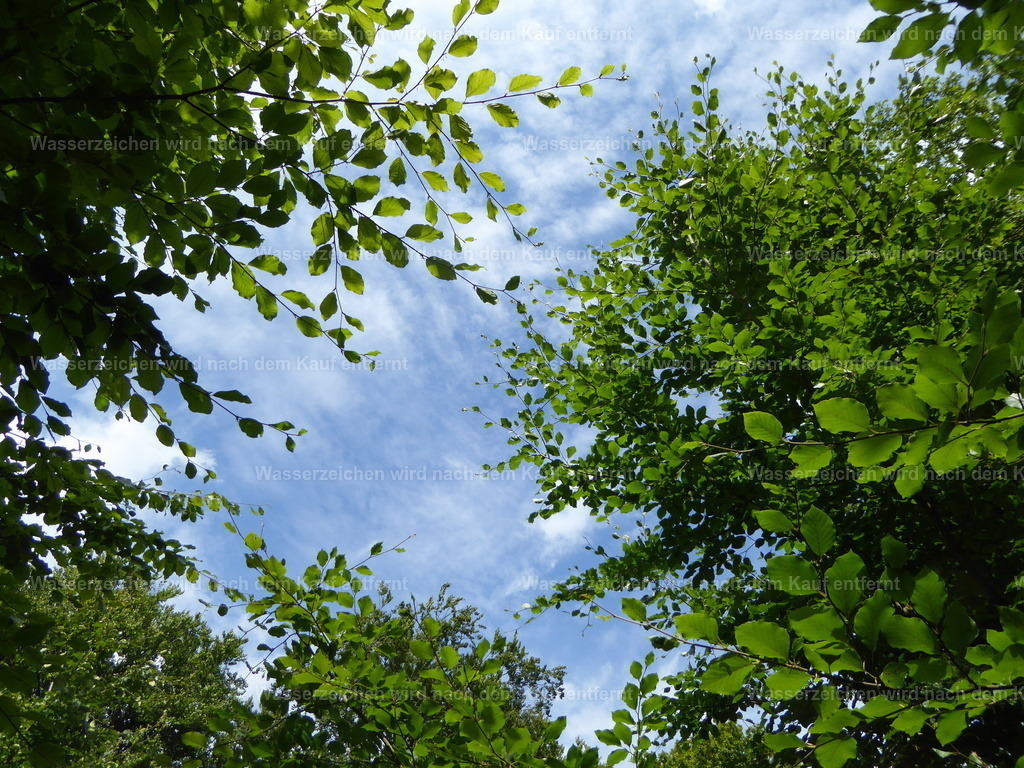 P1000118 | Entdecken Sie die faszinierende Welt von Norbert Michels: Surreale Kunstwerke, hochwertige Fotos, Leinwandbilder & Fotoprodukte wie Tassen mit bild7 - Realisiert mit Pictrs.com