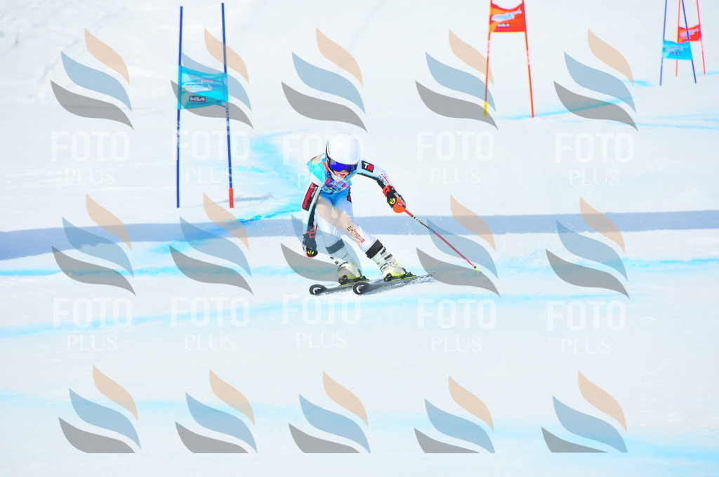 DSC_2892 | holidayphoto