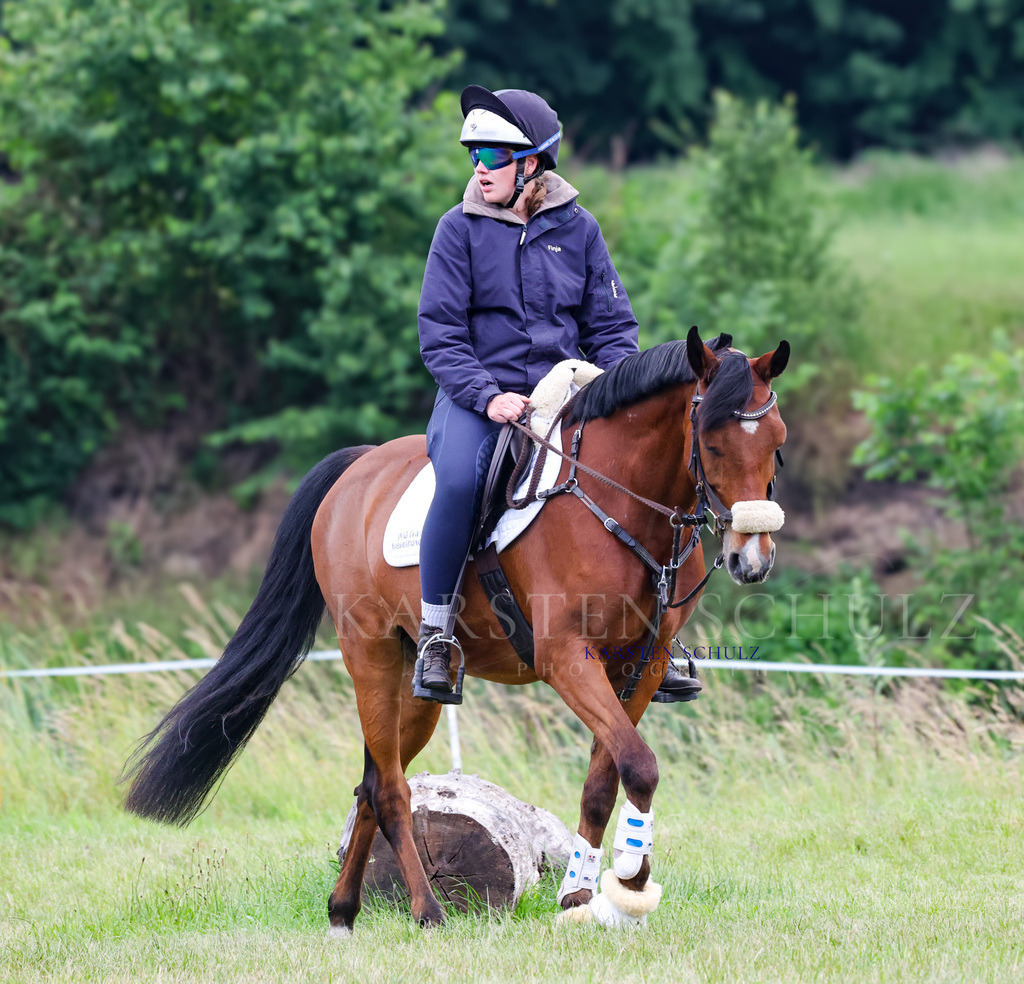1B3A2898 | Reitsport Reiten
