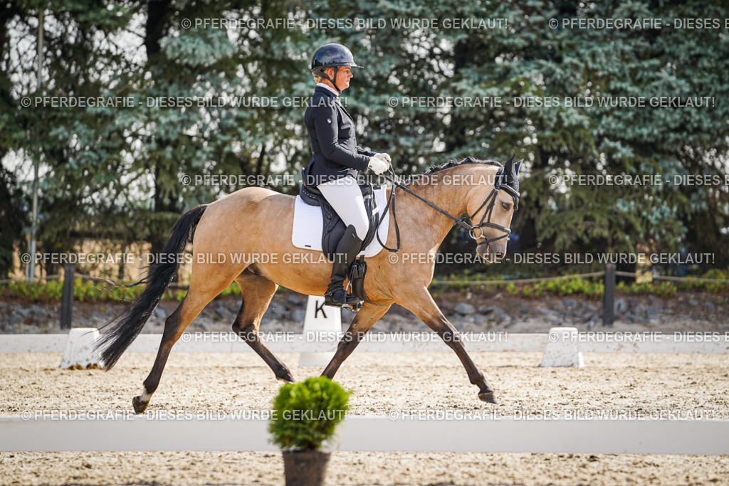 DSC06675 | Pferdegrafie