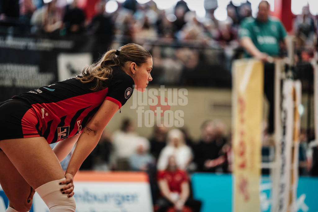Volleyball | Frauen | Saison 2025/2026 | Volleyball Bundesliga | ETV Hamburger Volksbank Volleys vs. Schwarz-Weiß Erfurt | 15.02.2026 | Svea Frobel (#11, ETV Hamburger Volksbank Volleys) wartet auf den Aufschlag