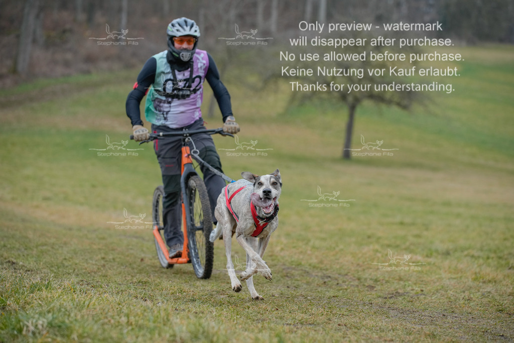 Sa_Scooter1-43 | stephaniefillaphotographie - Realisiert mit Pictrs.com