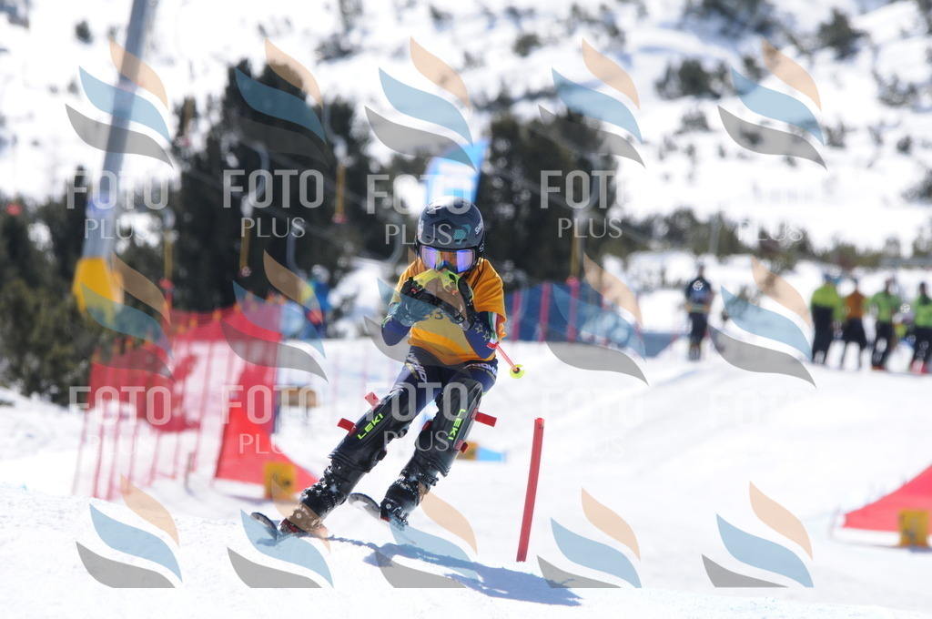 C9336 | holidayphoto