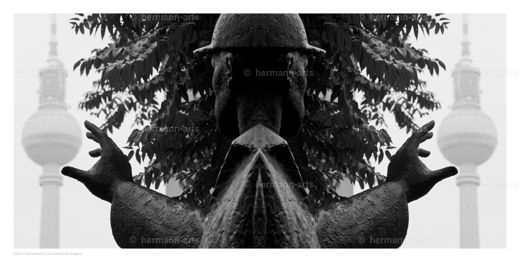 selbstbegegnung_10_03_24_einzeln18 | Photo Foto Kunst Art schwarzweiss Bilder Rheine Münster Berlin Blumen 