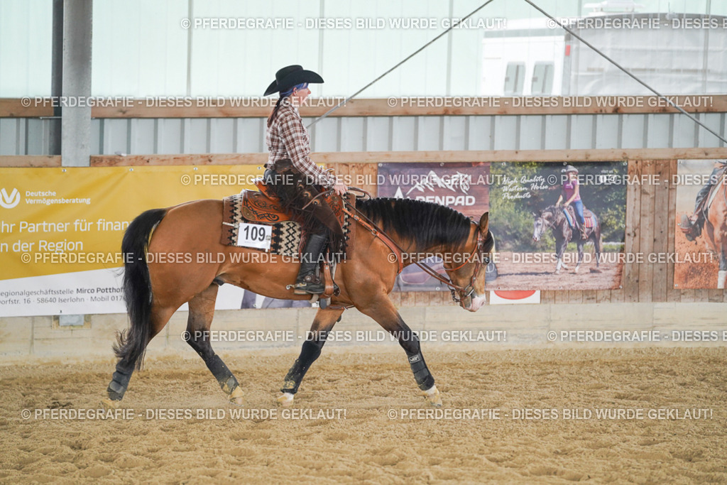 DSC05658 | Pferdegrafie