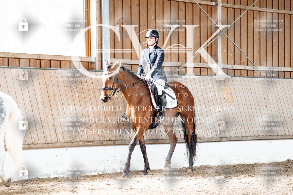 CK900437 | Turnierfotografie Pferdefotografie Trier Rheinland-Pfalz Pferdesport Reitsport Tierfotografie Sportfotografie Pferdevideo Pferdevideografie Equestrianvideography equestrianphotography  - Realisiert mit Pictrs.com