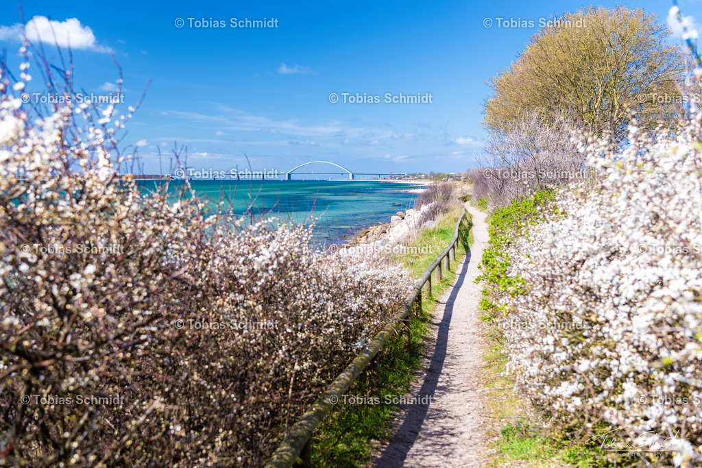 Fehmarn__DSC0064 | Fotoprodukte, Kalender und Wanddeko direkt vom Fotografen auf Fehmarn. Ob Wandbild auf Alu-Dibond, hinter Acrylglas oder auf Leinwand – hier können Sie Ihr Lieblingsbild kaufen. - Realisiert mit Pictrs.com