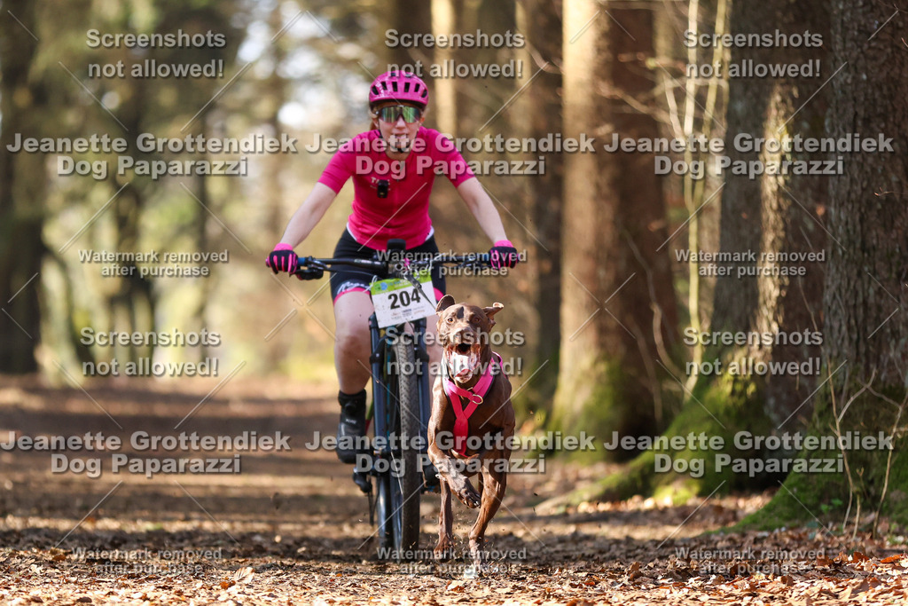 Dog Paparazzi - VCC26-1010 | Dog Paparazzi Jeanette Grottendiek Fotografie & Videografie - Realisiert mit Pictrs.com