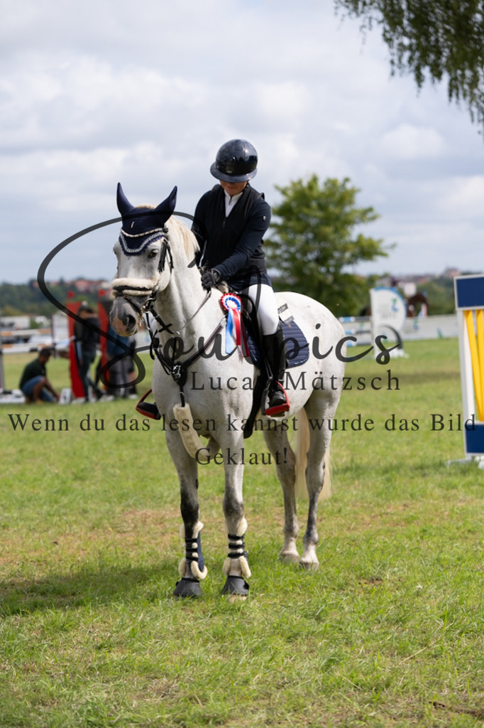 A7V05423 | Turnier/Reitfotograf