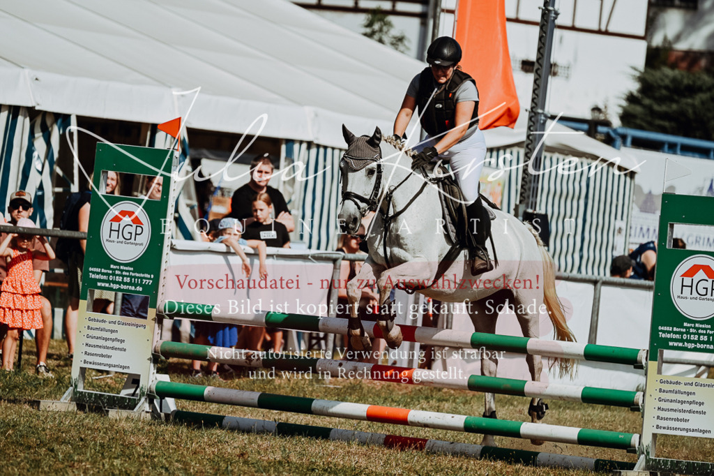 DSC_9357 | Pferde- und Turnierfotografie in Westsachsen. Pferdeportraits, Auftragszeichnungen und intuitive Kunst.