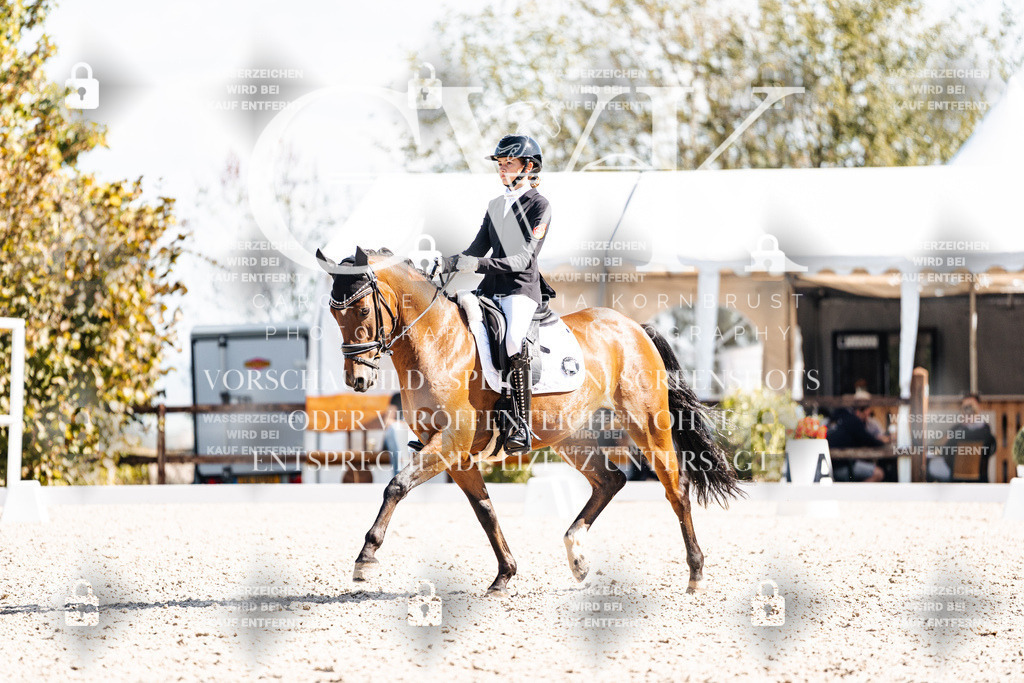 CK902691 | Turnierfotografie Pferdefotografie Trier Rheinland-Pfalz Pferdesport Reitsport Tierfotografie Sportfotografie Pferdevideo Pferdevideografie Equestrianvideography equestrianphotography  - Realisiert mit Pictrs.com