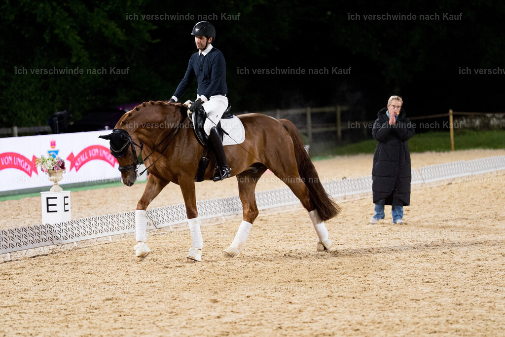 FHC2025 Isabell Werth-9882 | working equitationturnier fotograf videograf stoibphotography marixx film working equitation deutschland reitsport turnierfotografie eventfotografie equestrian events
