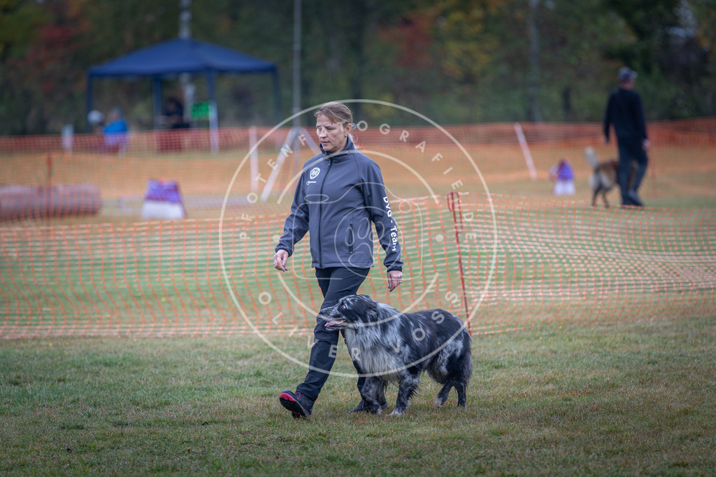 Pfotenfotografie_DV3A9423 | Hundefotografie, Tierfotograf, Pfotenfotografie, Fotoshooting Hund, Hunde Portrait, Hundesport, Hundeportraits, Heideshooting, Hunde, Sportfotograf, Hundefotograf, Turnierhundsport, THS,  - Realisiert mit Pictrs.com