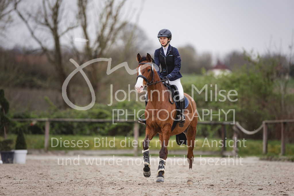 240330_Fruehlingsfest_Stil-A1_U30-422 | Deine schönsten Turniermomente als professionelle Fotos! Entdecke hochwertige Pferdesport-Fotografie im Online-Shop. Jetzt Fotos finden & bestellen!