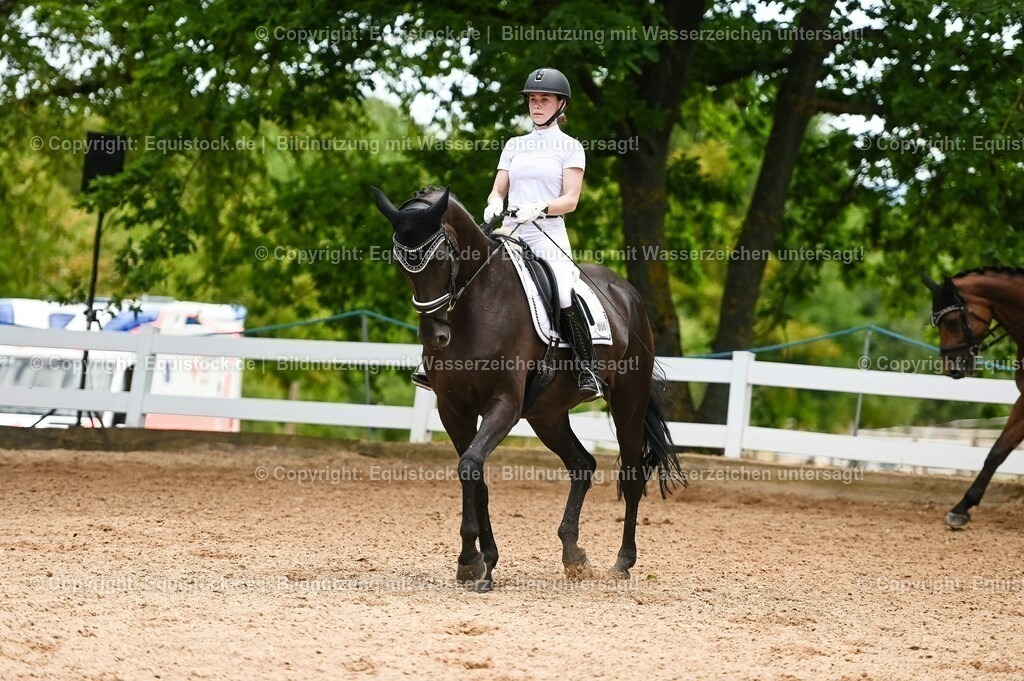 20230715_05_Dressurprüfung Kl.A++_0300 | equistock