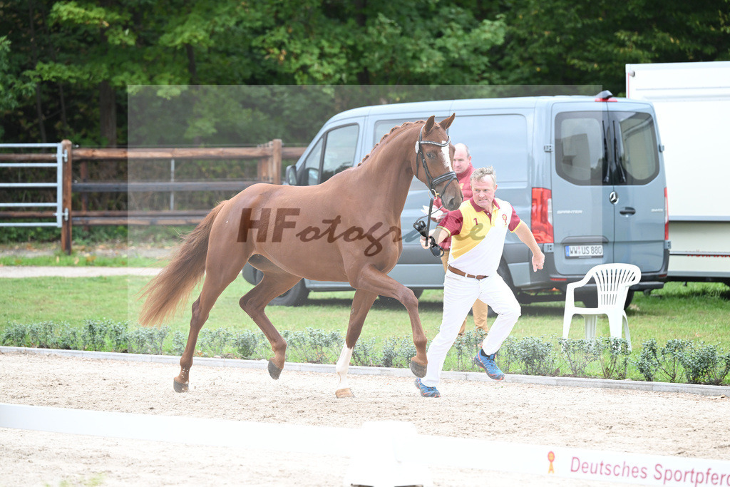 Kat-Nr. 18 Fiorella_Knoll GbR_49221233 | hf-fotografie - Realisiert mit Pictrs.com