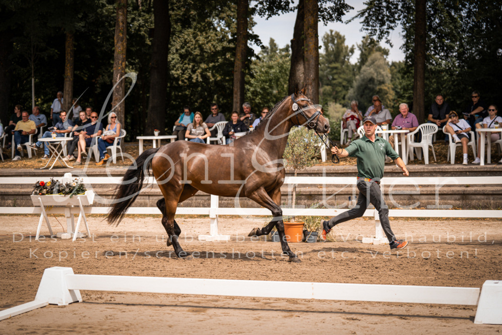 2. Fr00034 | Leoni Ertmer Photography - Realisiert mit Pictrs.com
