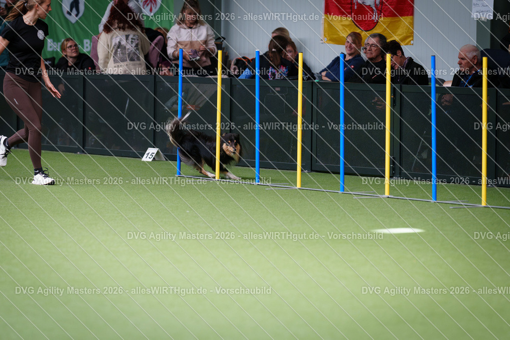 allesWIRTHgut_Tierfotografie-DVG_Agility_Masters_2026-11_12-7R505148 | Professionelle Tierfotografie in Mönchengladbach von Daniel Wirth (allesWIRTHgut). Liebevolle & natürliche Bilder von Hunden & Katzen für unvergessliche Erinnerungen.