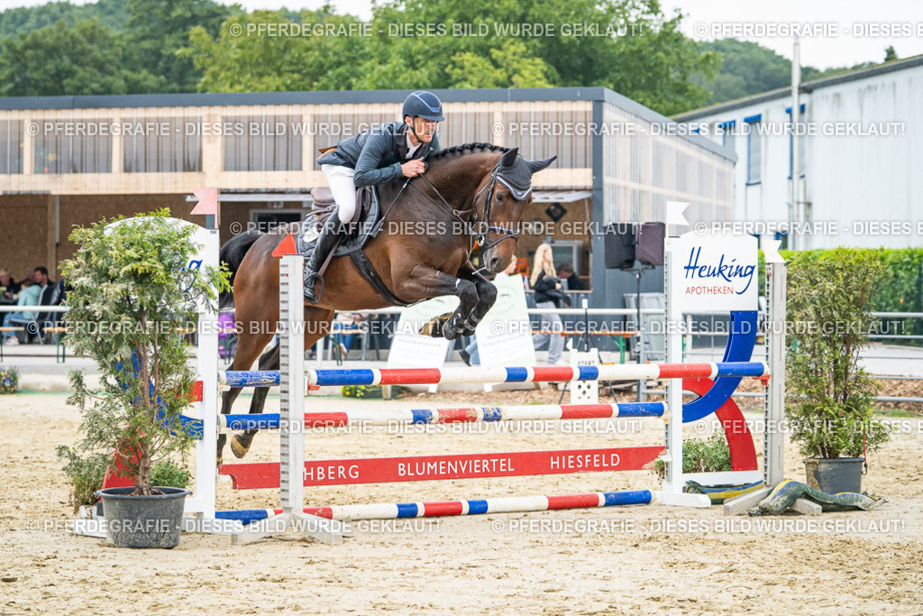 DSC00534 | Pferdegrafie