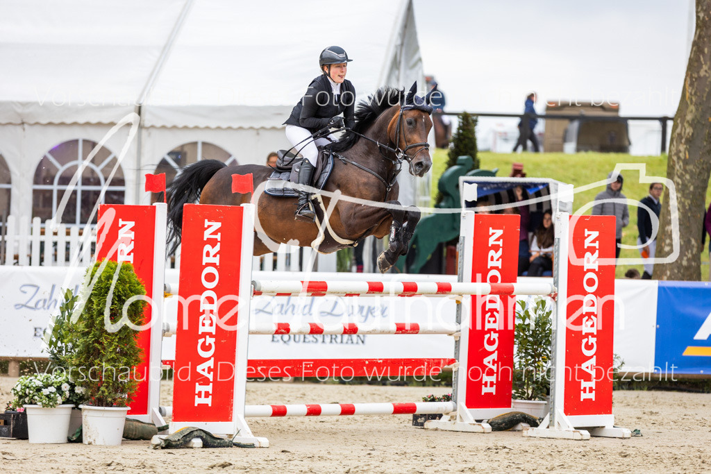 BHO-2PhSpr-M-362 | MomenTaufnahmen Pferdesportfotos