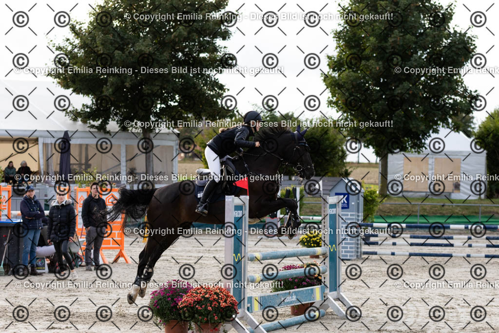 CL5A0567 | Emilia Reinking Fotografie - Realisiert mit Pictrs.com