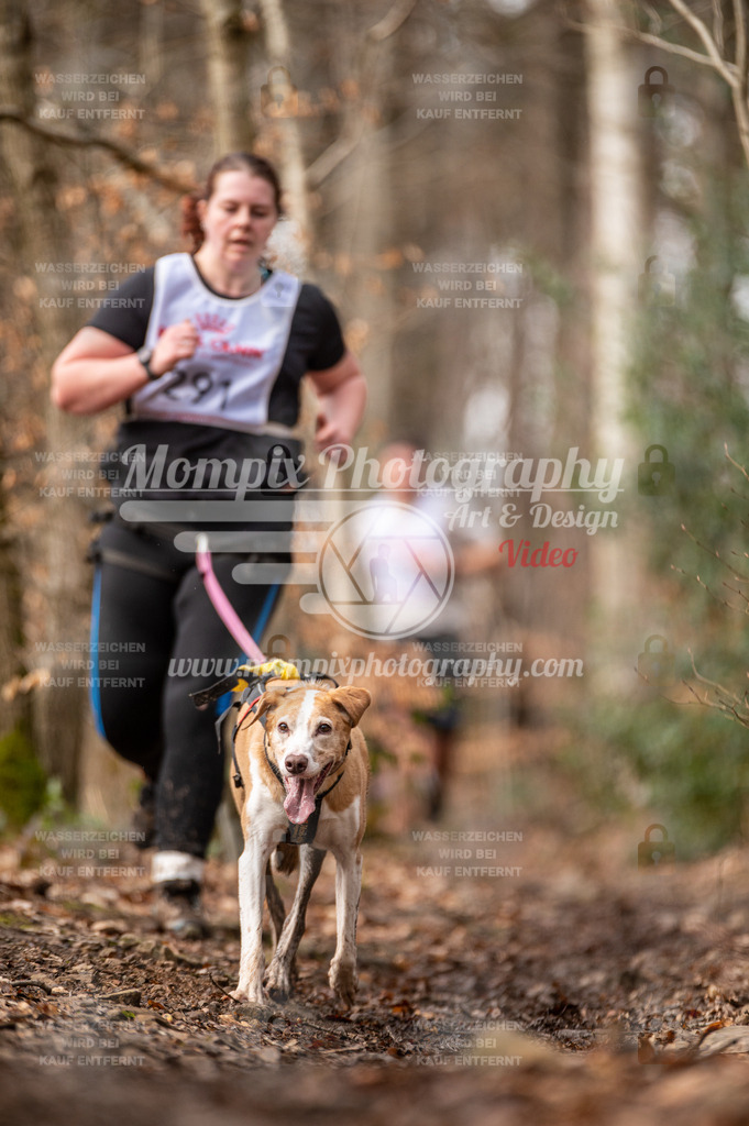 SPA_2023_DIM_CCK-122 | PayLife