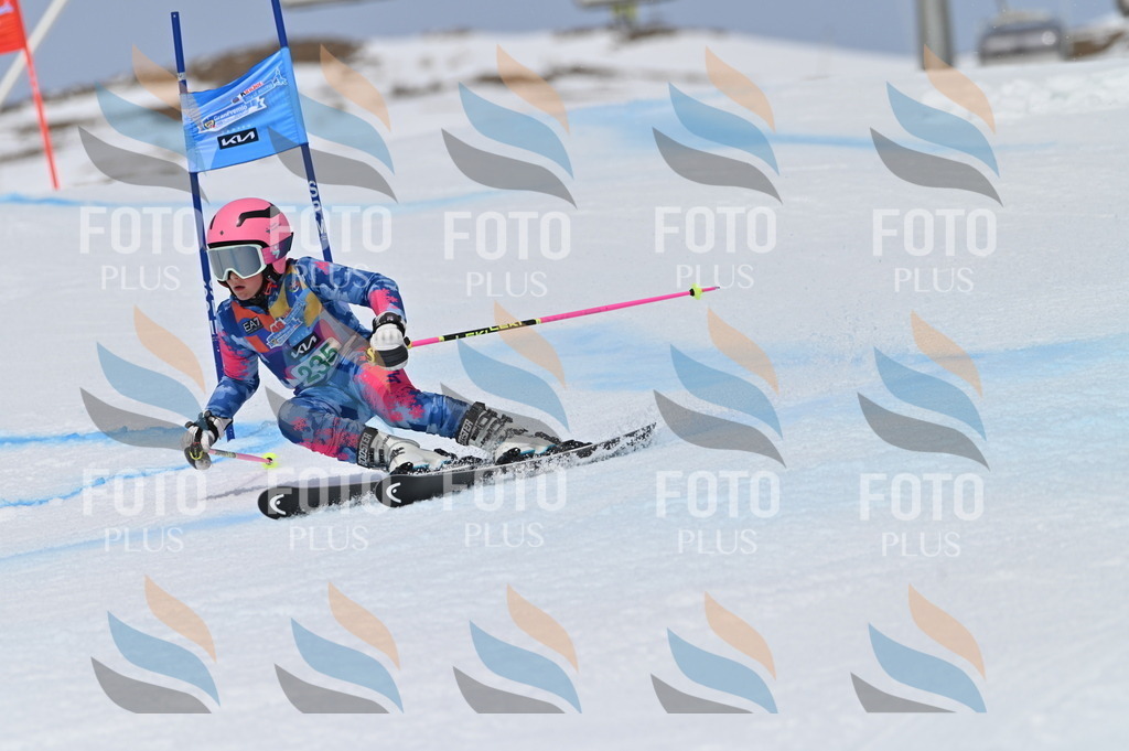 BGV_4669 | holidayphoto