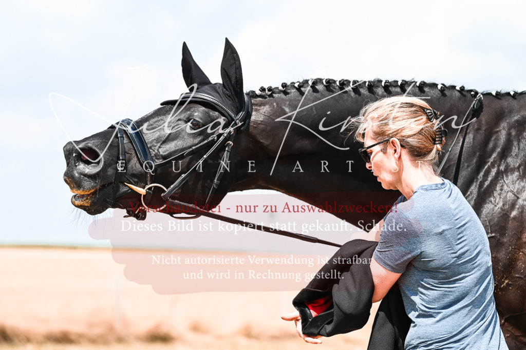 DSC_2731 | Pferde- und Turnierfotografie in Westsachsen. Pferdeportraits, Auftragszeichnungen und intuitive Kunst.