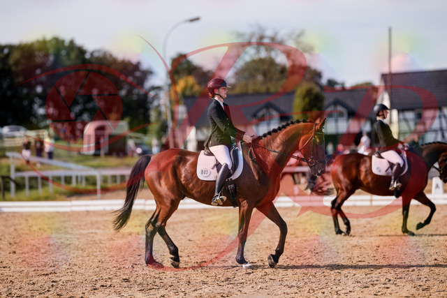 2026_10_03_Siefer-Hof_130840_Z81_61318272 | Professionelle Reitsport-, Turnier- und Eventfotografie von Robert Broda. Galerien mit ausgewählten und bearbeiteten Bildern direkt online ansehen und bestellen.