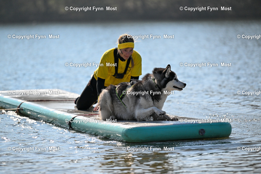 DSC_6106 | Hallo und herzlich Willkommen auf meiner Shop-Seite Fynn Most.

Ich wünsche Dir viel Spaß beim stöbern durch die Bilder, wenn Du Fragen hast oder Bilder vermisst, kannst du mir gerne eine Nachricht schreiben. - Realized with Pictrs.com