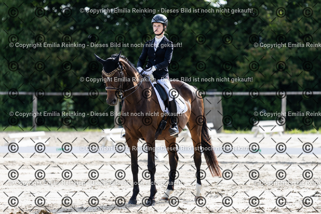 CL5A5680 | Emilia Reinking Fotografie - Realisiert mit Pictrs.com